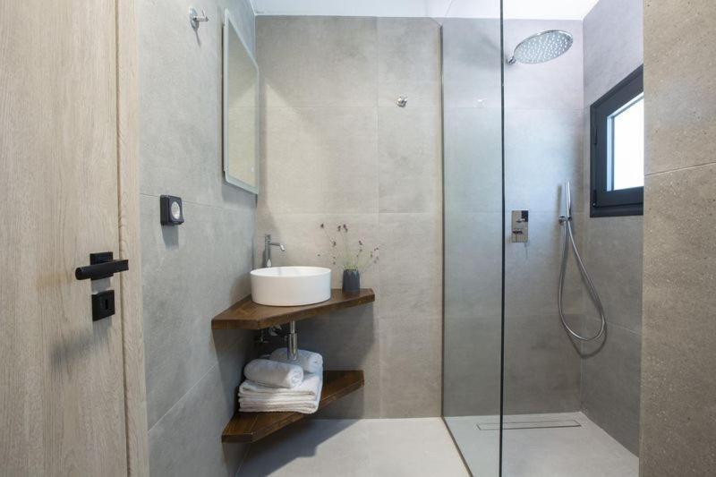 Seascape Villas Vassiliki - Beachfront Villas Екстериор снимка