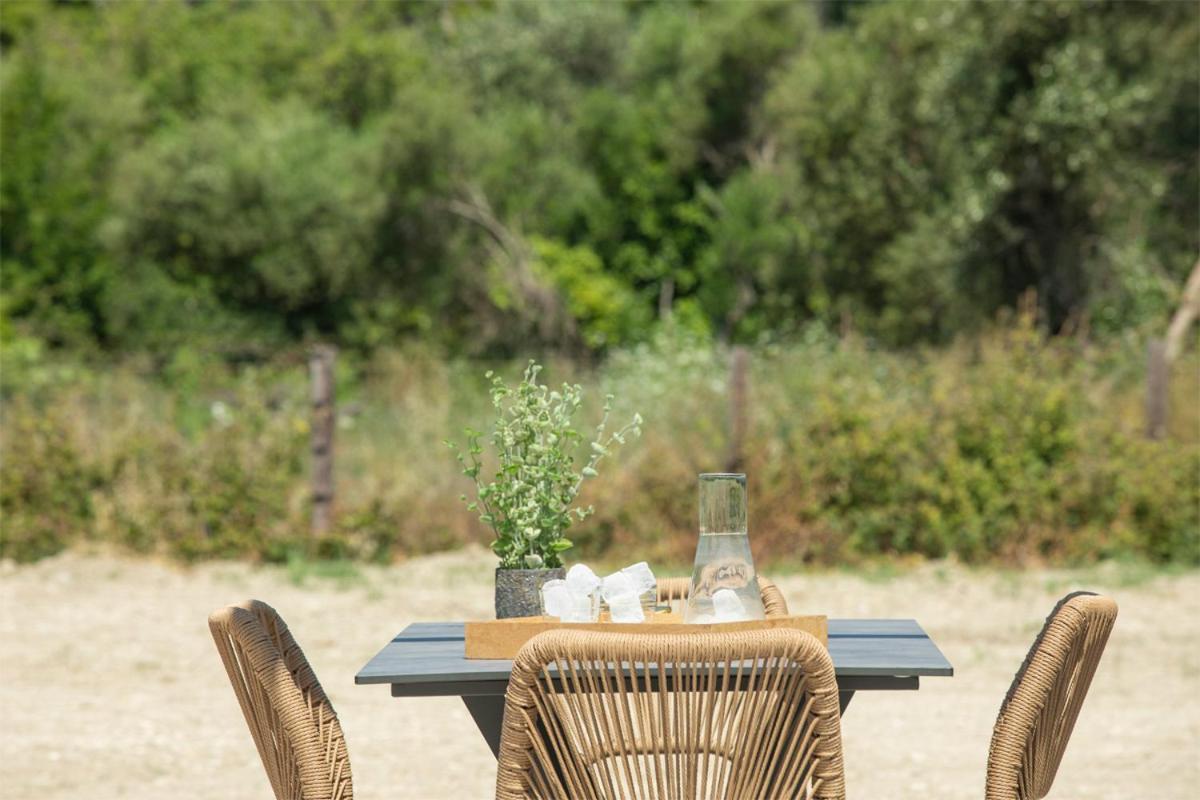 Seascape Villas Vassiliki - Beachfront Villas Екстериор снимка